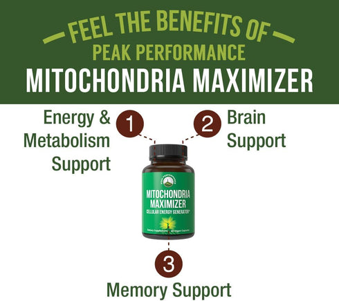 Mitochondria Maximizer with CoQ10 and Active PQQ, 60 Vegetarian Capsules, Natural Cellular Generator