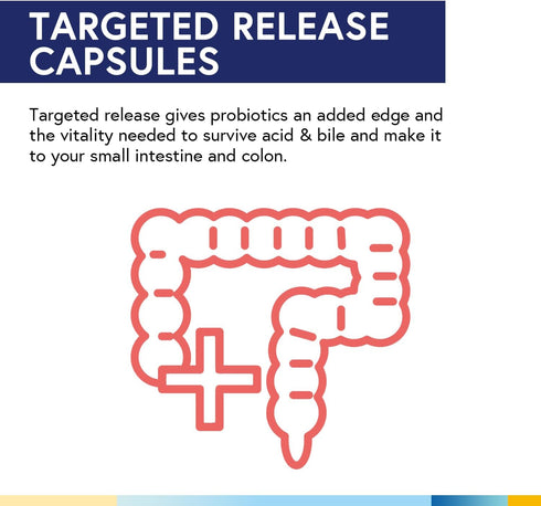Terranics Daily Probiotics for Men & Women - 150 Billion 25 Strains, with Prebiotics & Enzymes, 60 Veggie Caps