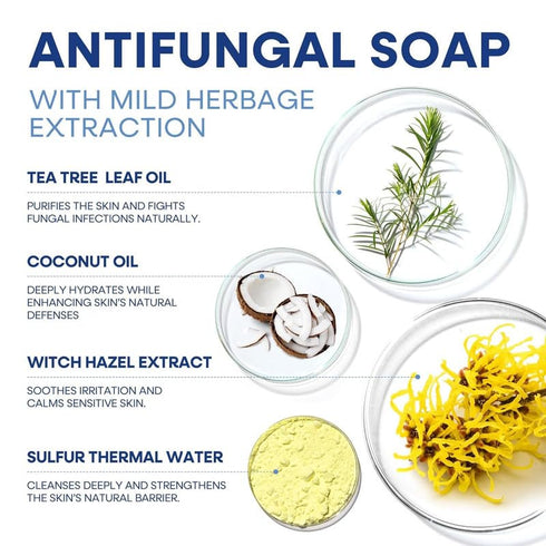 Hermon Folliculitis Treatment Cream & Antifungal Soap with Tea Tree Oil: Effective Treatment for Folliculitis Scalp