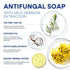 Hermon Folliculitis Treatment Cream & Antifungal Soap with Tea Tree Oil: Effective Treatment for Folliculitis Scalp