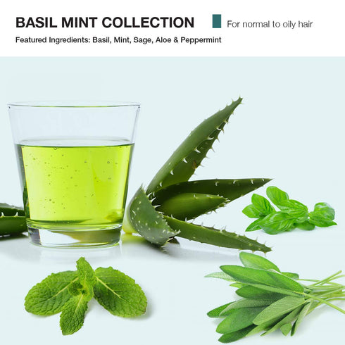 MOP Basil Mint Firm Hold Clay - 2 Oz., Long Lasting Hold, Textured Matte Finish for All Hair Types