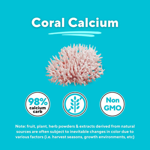 Coral Calcium Powder 1000mg Capsules for Bone Health and PH Level Balance - 120 Veggie Capsules