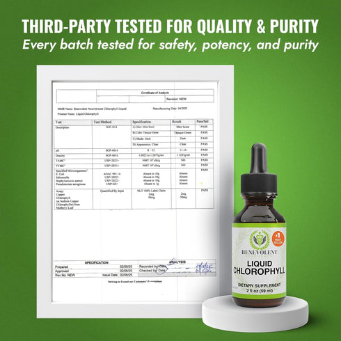 Immune Benevolent Nourishment Chlorophyll Supplement, Detox & Support, Internal Deodorizer, Liquid Drops