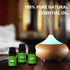 Set,100% (0.33Fl Oz*6, Set) Essential Oils Pure Natural,(Peppermint/Patchouli/Rosemary/Lemongrass/Vanilla/Lavender)