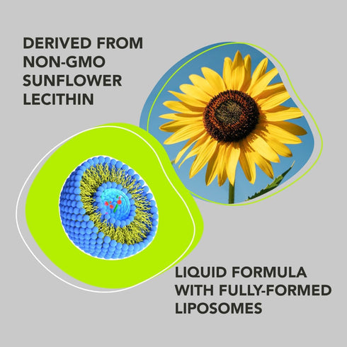 AMANDEAN Liposomal Glutathione Supplement, Liquid Reduced Setria 500mg, Immune Support