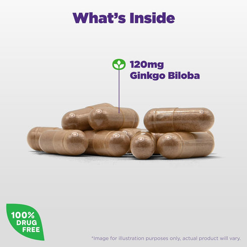 Natrol Brain Health Ginkgo Biloba 120mg, 60 Capsules, Dietary Supplement for Brain Health and Memory Support