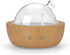 kakoda Glass Essential Oil Diffusers for Home, Wood Grain Base Humidifier, Decorative Bedroom