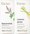Spearmint Essential Oil for Diffuser & Lemongrass Essential Oil for Diffuser Set