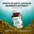 Natural Nutra Kelp Iodine Supplement, 250 Tablets for Brain Health, Immune System Strength & Metabolism Regulation