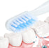 HAMPPLIES Electric Toothbrush for Waterproof Five-Speed USB Charging Soft Bristle Toothbrush with Built-in Battery