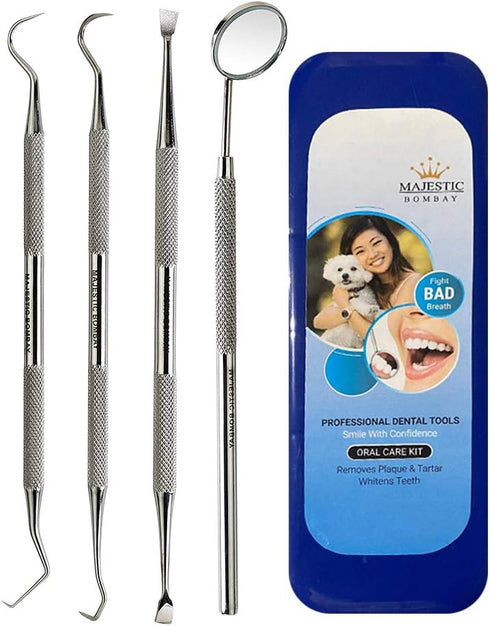 Dental Hygiene Tool Set, Stainless Steel Dental Kit with Tooth Pick, Mouth Mirror, Tarter Scraper, and Protective Case