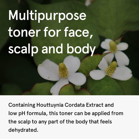 ONE THING Houttuynia Cordata Extract 10 fl oz | Vegan Facial Toner for Oily Acne Prone Skin | Korean Soothing Hydrating
