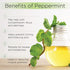 Radha Beauty Peppermint Essential Oil, 4 oz, 100% Pure & Therapeutic Grade, Fresh Minty Scent for Aromatherapy