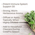 Plant Therapy Oregano Essential Oil 100% Pure, Undiluted, Natural Aromatherapy, Therapeutic Grade 30 mL (1 oz)