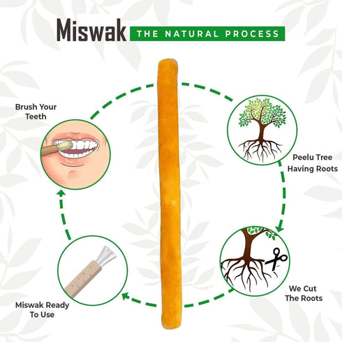 Miswak Sticks for Teeth, Natural Toothbrush, Sewak Toothbrush, Golden 8 Inch (Long, 1) for Whiter Teeth