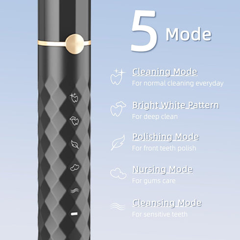 Set, 10 IPX8 2-Minute 42000 5 Seapeoa Sonic Electric Toothbrush Equipped with Brush Heads and Travel Case, Waterproof