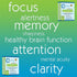Focused Mind Jr. Focus and Memory Support for Children, 60 EZ Melt Tablets, Pediatrician Formulated