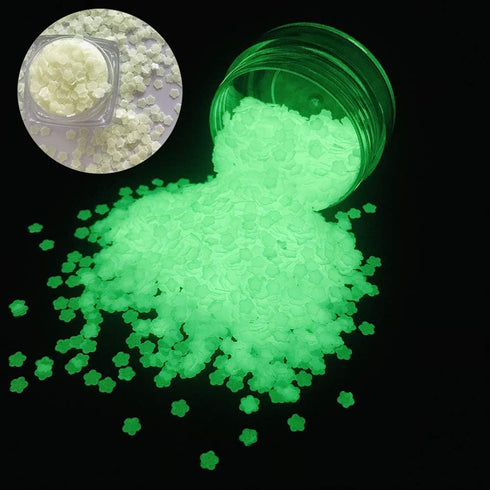 PrettyG 6 Boxes Set Luminous Nail Art Glitter, Glow in The Dark 3D Sparky Moon Butterfly Flower Stickers for DIY Craft