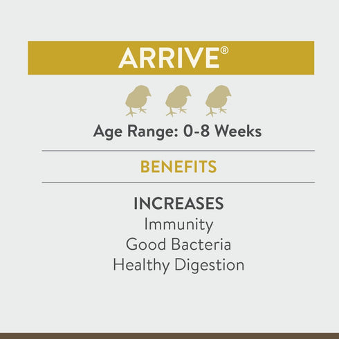 Arrive, Daily Probiotic & Prebiotic Water Supplement for Young Chickens, 0-8 Weeks Old, 8 oz