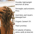 Saltie Sea Kelp Daily Hair Conditioner 8.5 fl. Oz | Nourish with Sea Weed, Kelp & Algae | Lightweight, Detangle, Repair