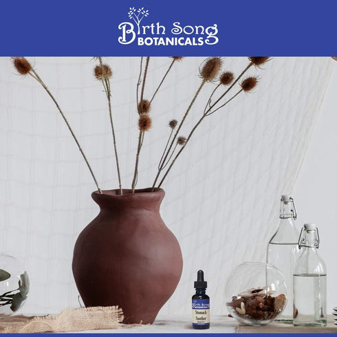 Upset 1oz Birth Song Botanicals Stomach Soother Tincture Herbal Digestion Support Supplement for Stomach & Motion