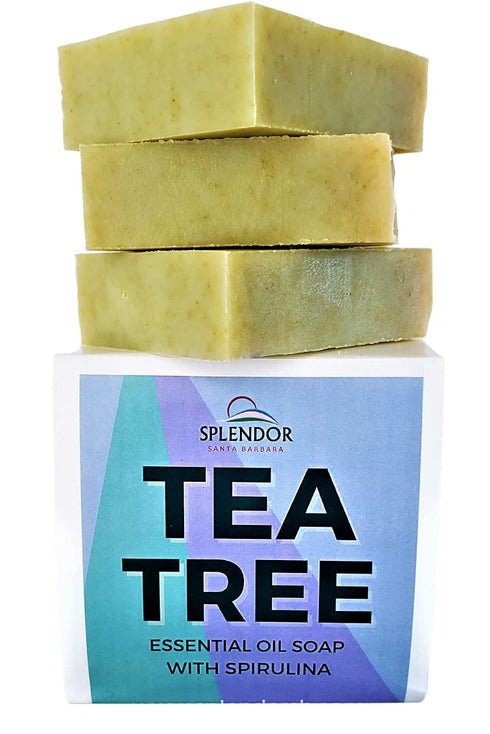 Splendor Tea Tree Soap Bars, 3 Bars/Box, Handmade, Vegan, Cold-Processed for Hand, Body, Face