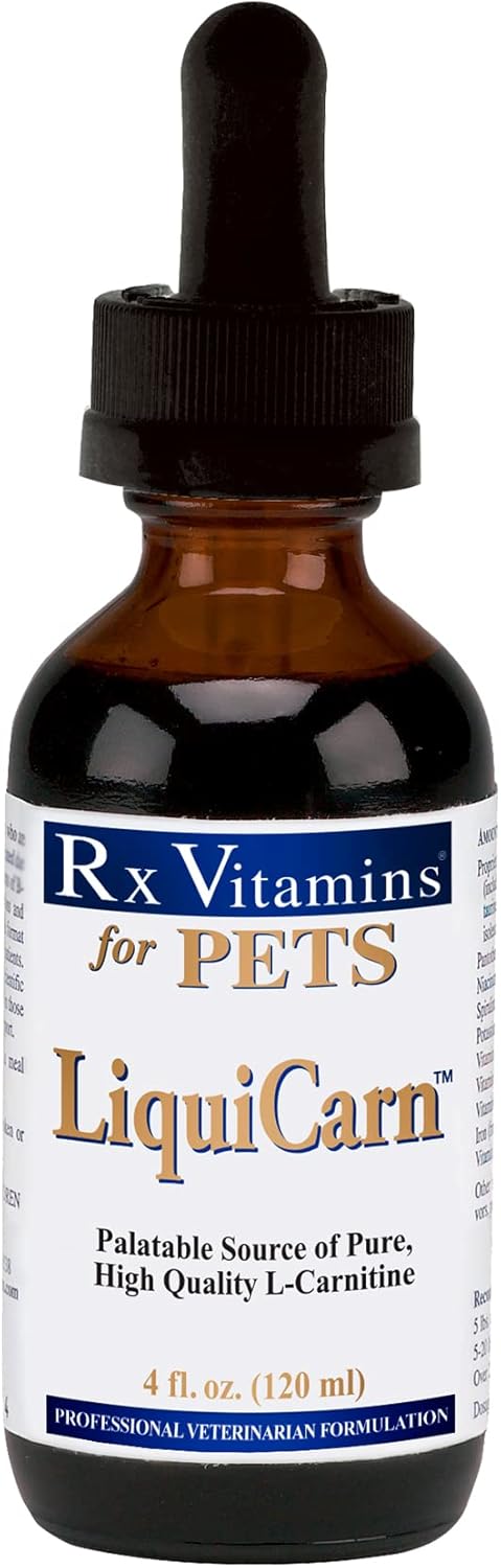 Rx Vitamins 4 oz Liquicarn Supplements for Dogs