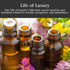 Life of Luxury Oil by Art of the Root | Handmade with Herbs & Essential Oils | Wiccan, Conjure, Pagan & Magick