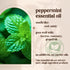 Peppermint Essential Oil - 100% Pure & Natural, Organic, Undiluted for Aromatherapy, Skin, Hair, Diffuser (0.33oz - 10ml)