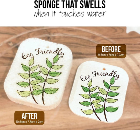10PACK Biodegradable Natural Plant Based Cellulose Dish Sponges: Non Scratch, Multi-Purpose for Kitchen, Household,