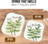 10PACK Biodegradable Natural Plant Based Cellulose Dish Sponges: Non Scratch, Multi-Purpose for Kitchen, Household,