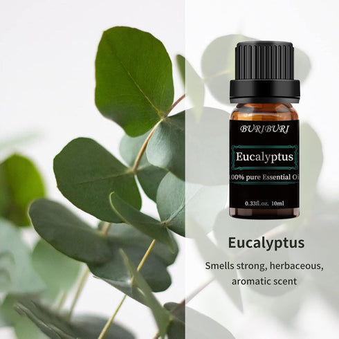 Set 2 Pack, 100% Eucalyptus and Vanilla Essential Oil Pure Diffuser Oil for Massage, Soap Making