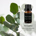 Set 2 Pack, 100% Eucalyptus and Vanilla Essential Oil Pure Diffuser Oil for Massage, Soap Making