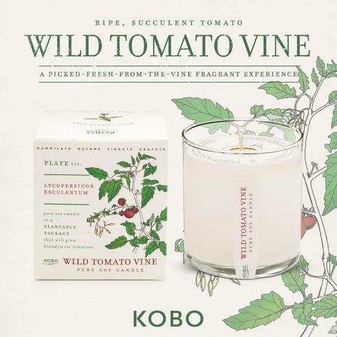 KOBO Wild Tomato Vine Candle, 9 oz | Plantable Box Collection | 100% Pure Soy Wax | Hand-Poured in USA