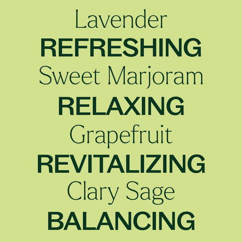 Reset Set Plant Therapy The Spring Essential Oil - Three Exclusive Spring-Focused Blends, Citrus Rise, Wildflower Calm