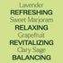 Reset Set Plant Therapy The Spring Essential Oil - Three Exclusive Spring-Focused Blends, Citrus Rise, Wildflower Calm