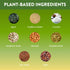 Protein Puck Plant Based Bars, 16 Count, Vegan Protein Snacks, Gluten Free, Non Dairy, Healthy Bars