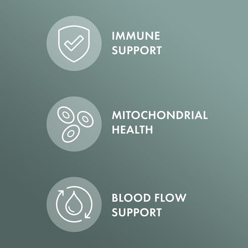 Immune 30 (30 Dr. Mercola Organic Chaga Mushroom - Support - Adaptogenic Blend with Chaga Extract & Chaga Powder - USDA