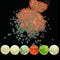 PrettyG 6 Boxes Luminous Nail Art Glitter Set, Glow in The Dark 3D Stickers for DIY Nail Craft Accessories