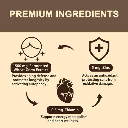 Spermidine Supplement 15 MG, 99% Purity, 1500 mg Fermented Wheat Germ Extract, 60 Softgels