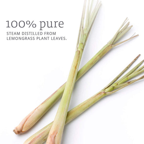 NOW Lemongrass Oil, 1-Ounce (Pack Of 2)
