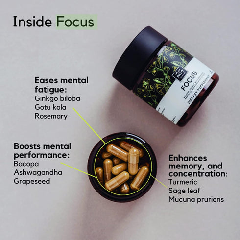 PALO FOCUS Brain Booster Natural Supplement - 60 Capsules for Memory, Focus, Learning, Attention