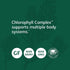 Standard Process Chlorophyll Complex - Immune Support, Antioxidant Activity, 60 Softgels with Vitamin A