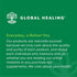 Global Healing Center Quercetin (2-Pack) 500mg Total, 250mg Each, Immune System Support & Allergies - QuerceFIT Without