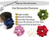 Jumbo Oversized XL Satin Scrunchies for Women, Large Elastic Ties Band for Ponytail Bun, Frizz Prevention (Red)