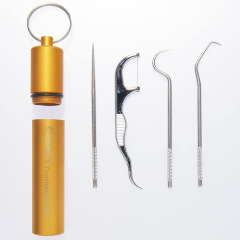 Toothpicks Pocket Set, Reusable Dental Floss Picks Kit, Stainless Steel Teeth Cleaning Tools for Travel