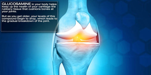 Joyful Joints by Vital Alchemy - Highest Grade Glucosamine, Turmeric, MSM, Bromelain, Hyaluronic Acid, Cissus, MSM,
