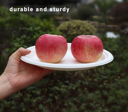 100 Count 6“ Small Compostable Dessert Plates, Heavy-duty Unbleached Biodegradable Bagasse and Bamboo fiber Paper Plates by GreenWorks