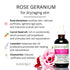 Rose Geranium Organic Facial Moisturizer | Anti-Aging Hydration for Dry & Sensitive Skin