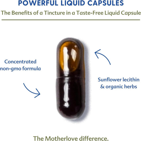 Motherlove More Milk Plus (120 Capsule Value Size) - Fenugreek-Based Lactation Supplement, Non-GMO, Vegan